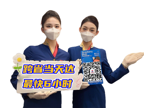 湖北空运西安机场